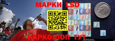 apvp Кунгур
