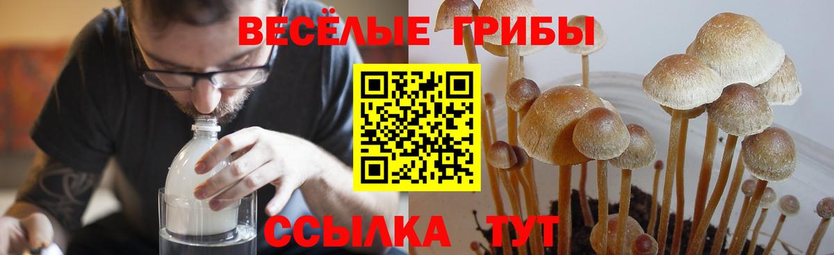 Качканар  Вход с VPN  Мефедрон кристаллы  НБОМе  ГАШИШ  Мефедрон  Конопля  Cocaine  Амфетамин  