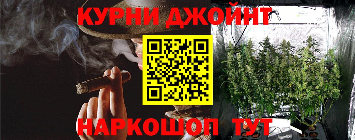 Шишки марихуана индика Качканар